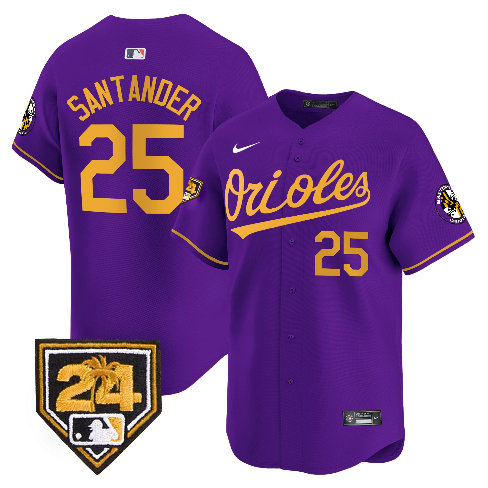 Anthony Santander Men's Baltimore Orioles Spring Training Patch Vapor Premier Limited Purple Gold Jersey - All Stitched