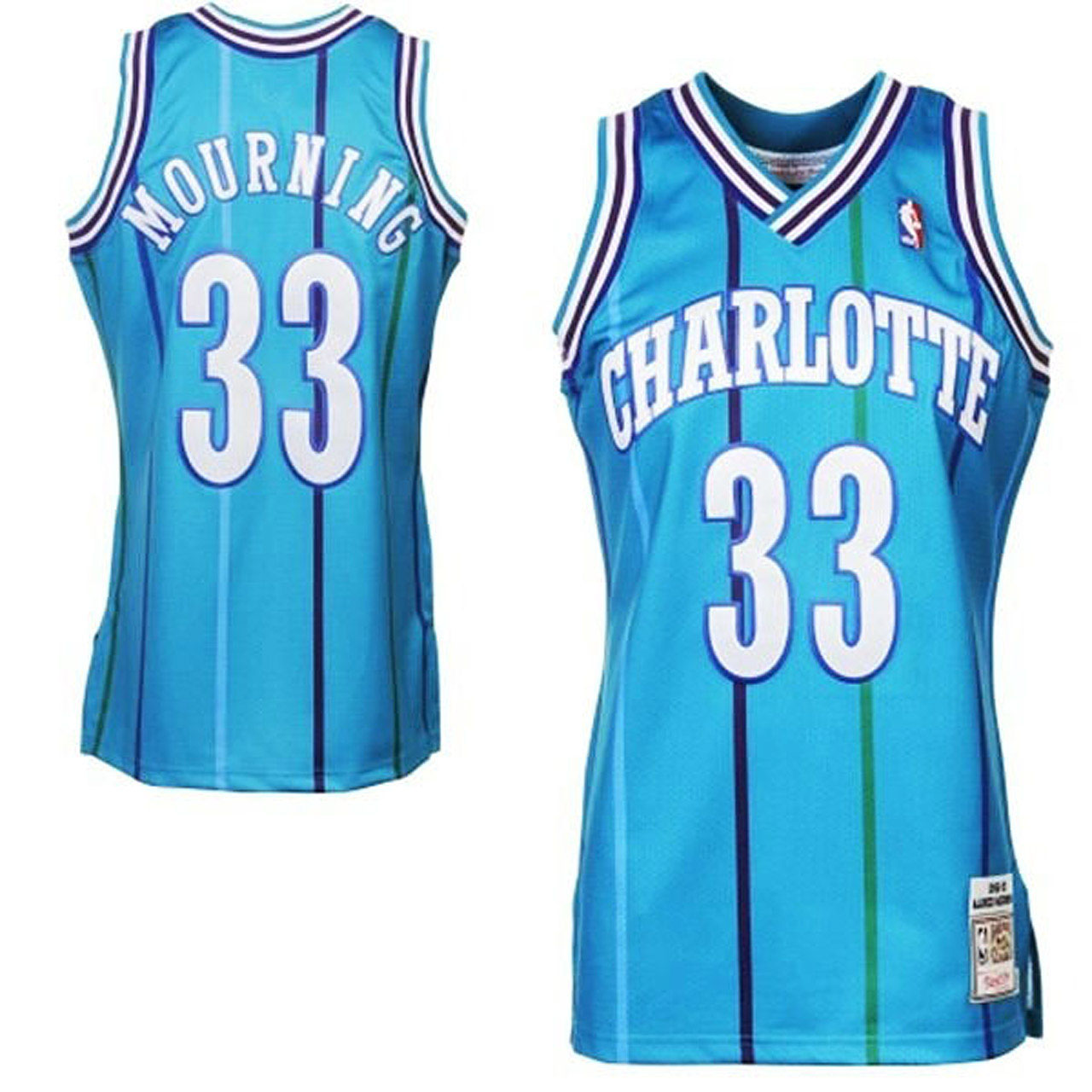 Male Alonzo Mourning Charlotte Hornets #33 Hardwood Classics Jersey
